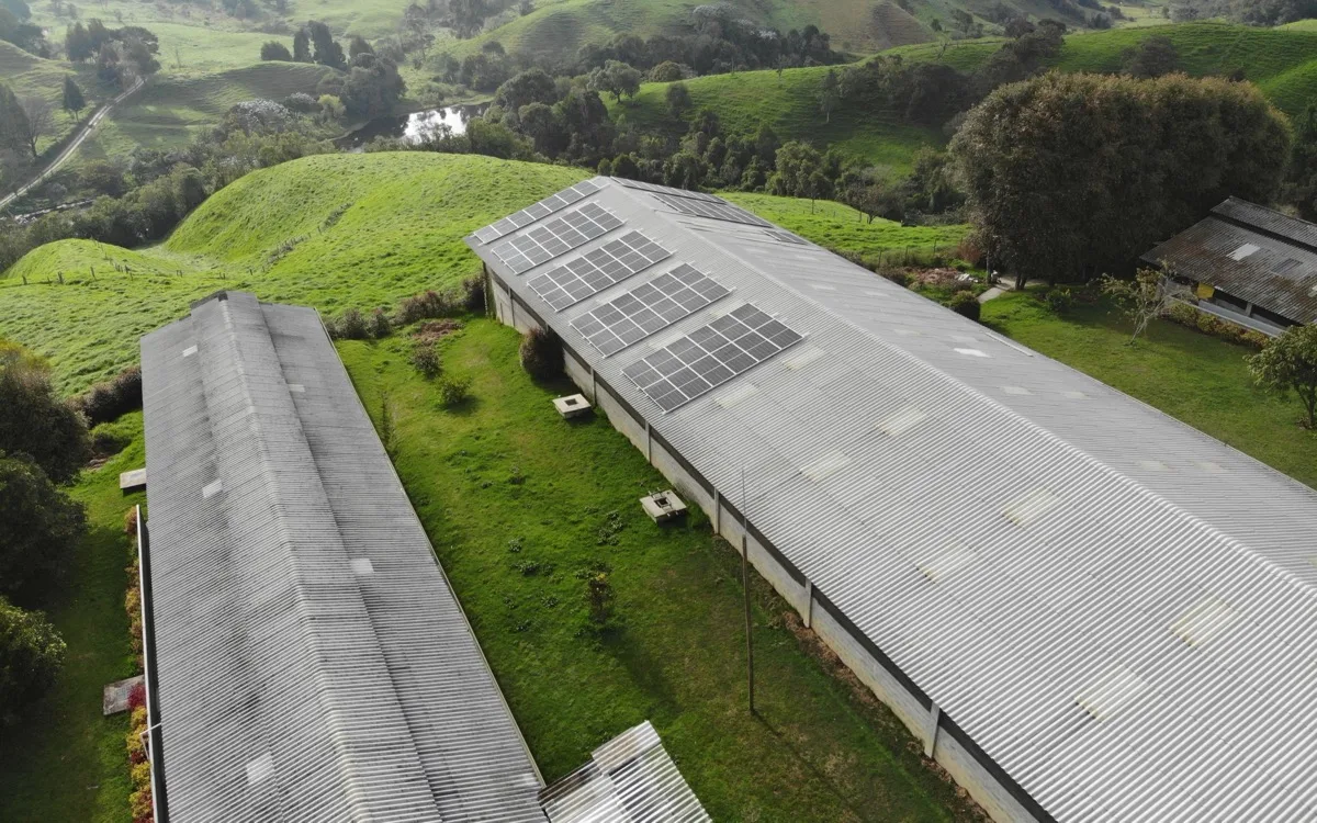 Instalación de paneles solares — Porcicultura